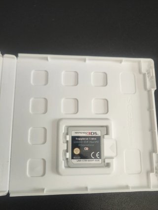 Dead or Alive Dimensions 3DS