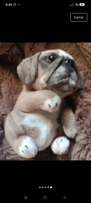 Peluche perro bebé