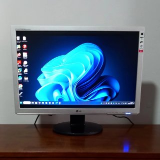 Monitor LG LED 22 Plata/Negro