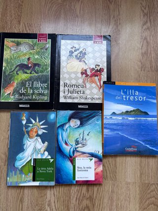 Libros de lectura en catalán (10 años)