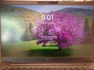 Ordenador Dell Latitude 7400 Gris