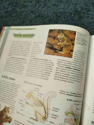 Libro Mamíferos