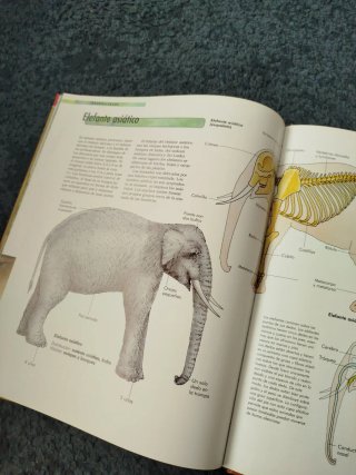 Libro Mamíferos