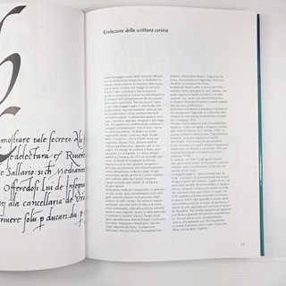 Libro Aldo Novarese - IL SEGNO ALFABETICO