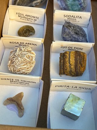 Colección Fósiles y Minerales