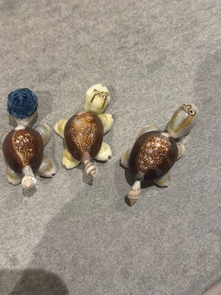Tre tartarughe vintage conchiglie