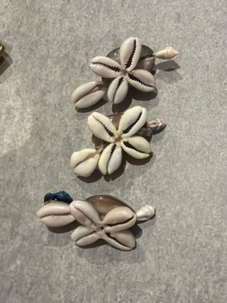 Tre tartarughe vintage conchiglie