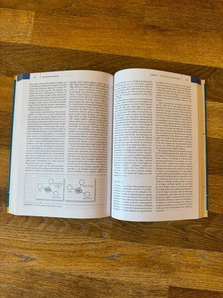 Psicología del Lenguaje