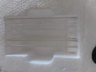 Microscopio y Telescopio Infantil