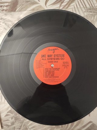 LP One Way System Punk Rock
