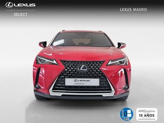 Lexus UX 300e Business