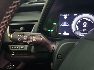Lexus UX 300e Business