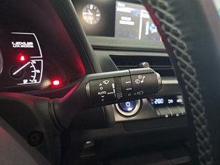 Lexus UX 300e Business