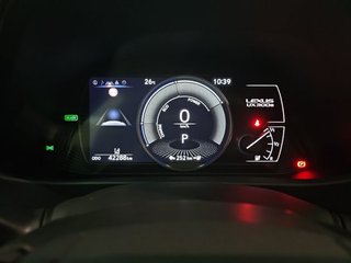 Lexus UX 300e Business