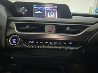 Lexus UX 300e Business