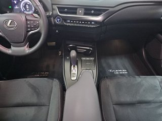 Lexus UX 300e Business