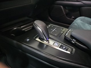 Lexus UX 300e Business