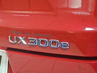 Lexus UX 300e Business