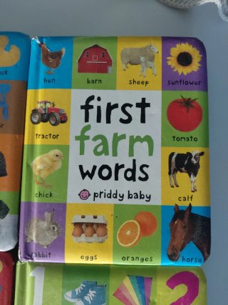 Pacl 4 libros ingles:  First 100 Words