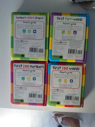 Pacl 4 libros ingles:  First 100 Words