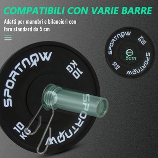 Set di 2 Dischi Palestra da 10kg per Bilanciere