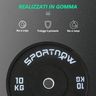 Set di 2 Dischi Palestra da 10kg per Bilanciere
