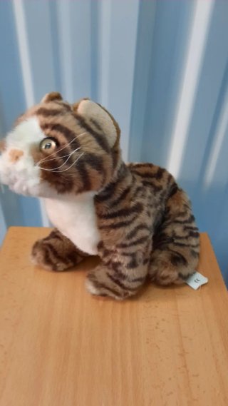 Peluche Gato Tigre
