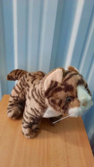 Peluche Gato Tigre