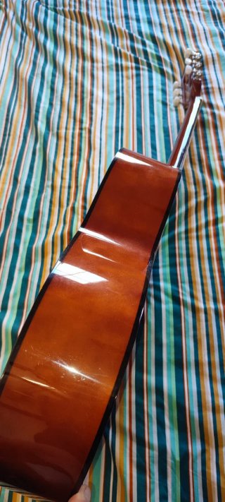 Guitarra Española Clásica