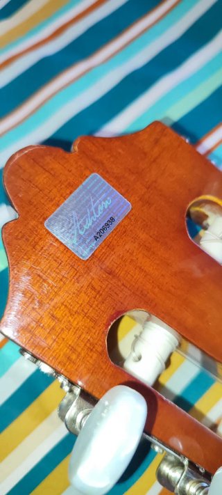 Guitarra Española Clásica