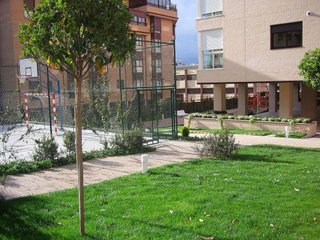 Piso en alquiler en Simancas en Madrid
