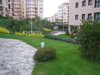 Piso en alquiler en Simancas en Madrid