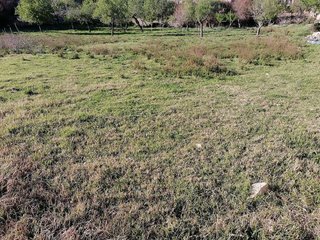 Solar en venta en Calvià en Calvià