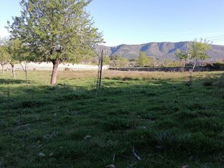 Solar en venta en Calvià en Calvià