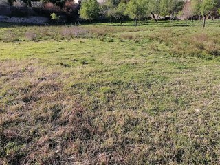 Solar en venta en Calvià en Calvià