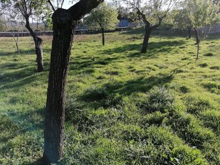 Solar en venta en Calvià en Calvià