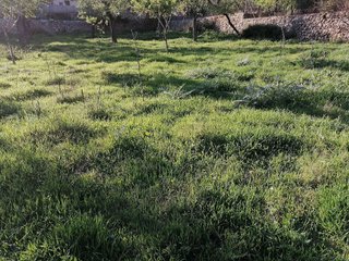Solar en venta en Calvià en Calvià