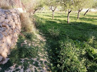 Solar en venta en Calvià en Calvià