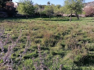 Solar en venta en Calvià en Calvià