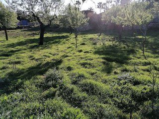 Solar en venta en Calvià en Calvià