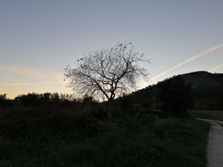 Solar en venta en Calvià en Calvià