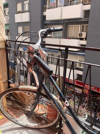 Bicicleta Holandesa Batavus Fugato