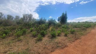 Terreno en venta en Camino de Onda - Salesianos - Centro en Burriana