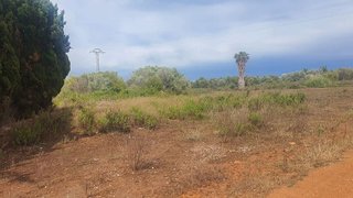 Terreno en venta en Camino de Onda - Salesianos - Centro en Burriana