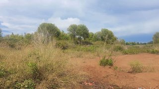 Terreno en venta en Camino de Onda - Salesianos - Centro en Burriana