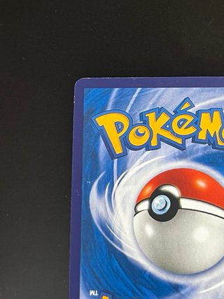 Carta Pokémon Pikachu Cinese 173/151