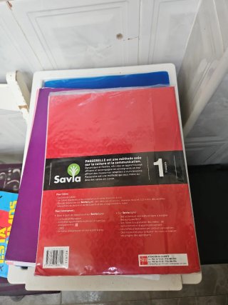 Passerelle 1, français A1-A2, Bachillerato Livr...