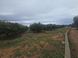 Terreno en venta en Zona Piscinas en Burriana