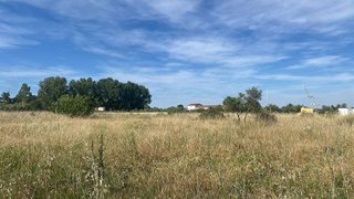 Terreno en venta en Tres Olivos - La Piedad en Talavera de la Reina