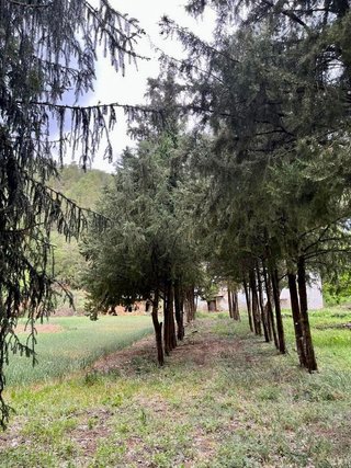 Piso en venta en Baronia de Rialb, la